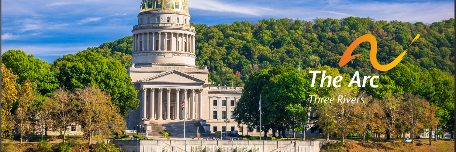 Waiver SErvices IDD (2)